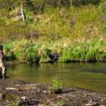 Photo by Elizabeth Earl/Peninsula Clarion Fishermen flocked to the banks of the Ninilchik River in Ninilchik, Alaska, on Saturday, May 28, 2016, for its first open day for king salmon fishing.