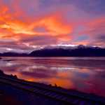 Big shot: Local photographer turns hobby into business