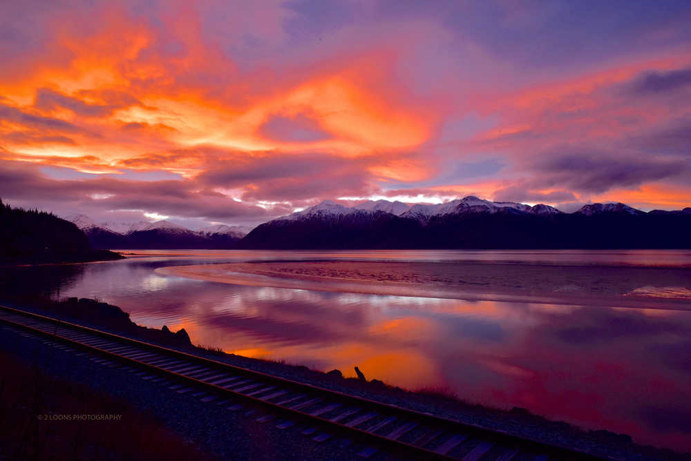 Big shot: Local photographer turns hobby into business