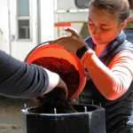 Photo by Elizabeth Earl/Peninsula Clarion Jenna Hansen and her sister Megan pour grit into the tumbler where their recycled glass will be smoothed at their home in Nikiski, Alaska on Wednesday, June 1, 2016. Hansen and her family turn recycled glass into handmade jewelry that they sell.