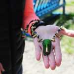 Photo by Elizabeth Earl/Peninsula Clarion Jenna Hansen displays a necklace she made from recycled glass and bullet casings at her home in Nikiski, Alaska on Wednesday, June 1, 2016. Hansen and her family turn recycled glass into handmade jewelry that they sell.