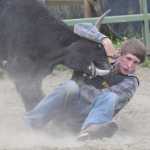Photo by Joey Klecka/Peninsula Clarion Austin Strattman wrestles a steer to the ground in a chute dogging display June 25 at the Soldotna rodeo grounds.