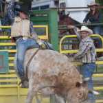 Photo by Joey Klecka/Peninsula Clarion Warren Simpson holds tight as he rides his bull June 25 at the Rodeo Alaska Tour stop at the Soldotna rodeo grounds.