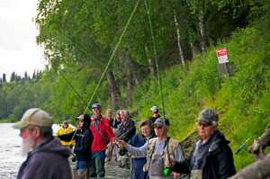 Photo by Elizabeth Earl/Peninsula Clarion Anglers line the banks of the Kenai River near the Donald E. Gilman River Center in Soldotna, Alaska on Thursday, July 7, 2016. Many reported good fishing for sockeye salmon that day in the river.
