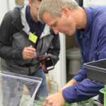 Photo by DJ Summers/Alaska Journal of Commerce Greatland Ganja owner Leif Abel displays fledgling cannabis clones for Alcohol and Marijuana Control Office officer Joe Bankowski (background) to tally on the state's tracking system, METRC.