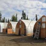Photo by DJ Summers/Alaska Journal of Commerce Four outdoor greenhouses totaling 4,800 square feet of grow space line the back of Greatland Ganja's operation. With the long summer light causing quick growth, owner Leif Abel worried enforcement officers might not have looked kindly on plants over 18 inches.