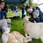 Photo by Megan Pacer/Peninsula Clarion  Lucas White, 1, greets a goat with his mother, Linzey White, of Kenai, on Saturday, Aug. 6, 2016 during The Global Big Latch On, held locally at Farnsworth Park in Soldotna, Alaska. The event raises awareness and support for breatsfeeding moms worldwide.