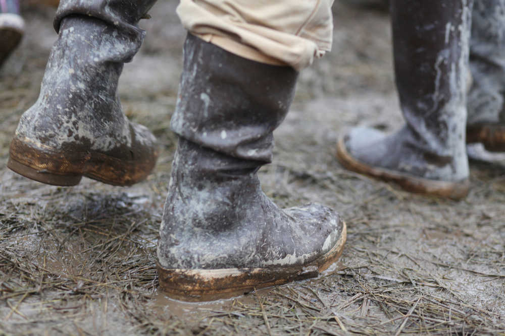 Photo by Kelly Sullivan/ Peninsula Clarion Hope Social Club performs at Ocean State on Saturday, Aug. 7, 2016 at Salmonfest 2016 in Ninilchik, Alaska.