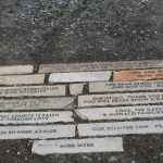 Really? Shrubs stolen from CPH Peace Garden