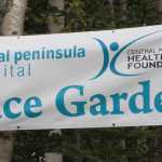 Really? Shrubs stolen from CPH Peace Garden