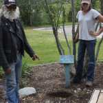 Really? Shrubs stolen from CPH Peace Garden