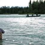 Photo by Elizabeth Earl/Peninsula Clarion A once-hooked sockeye salmon bares its teeth after being caught in the Ninilchik Traditional Council's subsistence gillnet on the Kenai River on Sunday, Aug. 14, 2016 near Soldotna, Alaska. The tribe gained approval for the controversial net on July 27 and was able to fish it until Aug. 15.