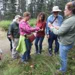 Photo by Kelly Sullivan/ Peninsula Clarion Janice Chumley, Integrated Pest Management Technician for the Kenai branch of the University of Alaska Fairbanks Cooperative Extension Service, for the Harvest Moon Festival, goes over various flora she and a group found during the fourth annual Harvest Moon Festival's local berry walk Monday, Aug. 15, 2016 on Tsalteschi Trails' Wolverine Trail in Soldotna, Alaska.