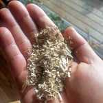 Photo courtesy Jack Bennett Jack Bennett holds up a handful of milled hemp wood, which he is using to insulate the house he is buildling in Homer.