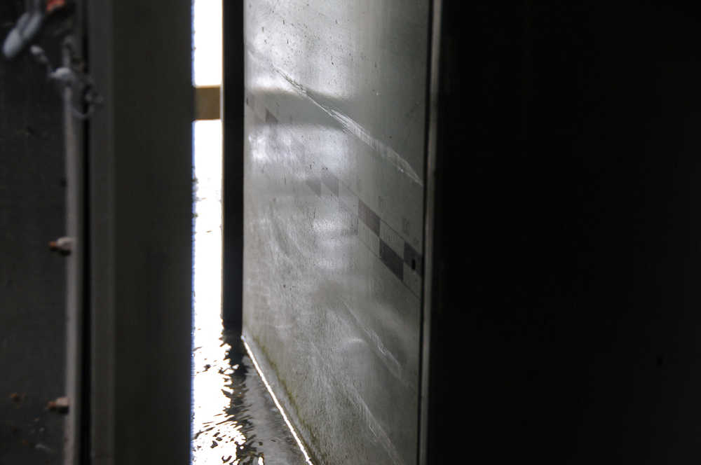 Photo by Elizabeth Earl/Peninsula Clarion The video weir at Cook Inlet Aquaculture Association's Paint River fish ladder, photographed Friday, Sept. 2, 2016 near the McNeil River State Game Sanctuary and Refuge, Alaska. Cook Inlet Aquaculture Association operates the fish ladder to allow salmon to pass into the upper reaches of the remote river system to spawn.