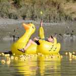 Photo by Megan Pacer/Peninsula Clarion Kenai Lions Club secretary and treasurer Dennis Swarner tosses a rubber duck into the air during the organization's 20th Rubber Ducky Race fundraiser Saturday, Sept. 10, 2016 on the Kenai River at Cunningham Park in Kenai, Alaska. This is the largest general fundraiser for the Kenai Lions Club, which is celebrating its 50th anniversary. The organization sold about 550 ducks this year, Swarner said.