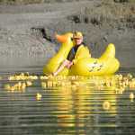 Photo by Megan Pacer/Peninsula Clarion Kenai Lions Club secretary and tresurer Dennis Swarner guides about 550 rubber ducks safely toward the finish line on the Kenai River during the organization's 20th Rubber Ducky Race fundraiser Saturday, Sept. 10, 2016 at Cunningham Park in Kenai, Alaska. This is the largest general fundraiser for the Kenai Lions Club, which is celebrating its 50th anniversary.