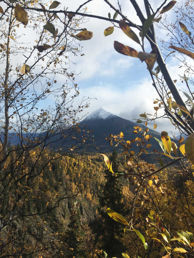 Photo by Megan Pacer/Peninsula Clarion Water cascades down the Juneau Creek Falls on Monday, Sept. 26, 2016 on the Resurrection Pass trail in Cooper Landing, Alaska. Fall colors are still out in force ahead of the frost this season.