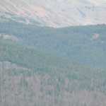 Photo by Jeff Helminiak/Peninsula Clarion Andy Liebner leads a group of high school skiers through a skills course Sunday at a roller-skiing clinic on the Seward Highway near the turnoff to Hope Highway.