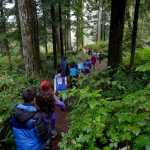 In this Oct. 6, 2016 photo, Outdoor School students walk through the dense forest on their way to a lesson at Camp Howard in Mount Hood National Forest near Corbett, Ore. The outdoor education is unique to Oregon and is a rite-of-passage for public school students that's meant to instill a respect for nature in each generation--studies show it improves attendance and boosts test scores. (AP Photo/Don Ryan)