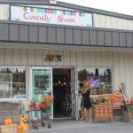 ye olde curiosity shop