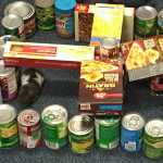 This hamster cage - complete with live hamster - was created by students in Amy Utecht's class at Redoubt Elementary School in Soldotna using food items brought in by students for the school's "Canstruction" competition Thursday. Food items collected during the event will be donated to the Kenai Peninsula Food Bank. (Photo by Will Morrow/Peninsula Clarion)