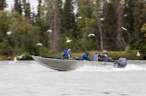 Photo courtesy Rashah McChesney Anglers race up the river after trolling for king salmon on the Kenai River on Sunday, July 24, 2016 near Kenai, Alaska.
