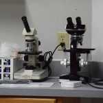 Photo by Megan Pacer/Peninsula Clarion A dog named Sally peeks through the window of a door at the new North Road Veterinary Wellness Clinic, run by homesteader Mary Huhndorf, Wednesday, Dec. 7, 2016 in Nikiski, Alaska. The clinic is already open for basic veterinary needs, but will be a long-term work in progress, Huhndorf said.