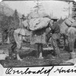Overloaded Horse, looking north on the White Pass Trail, circa summer 1898. The building on the right is probably located around five miles outside Skagway based on the captions on other photographs of the same building. (Courtesy Photo | National Park Service, Klondike Gold Rush National Historical Park, Brackett Family Collection, BRWHP105, KLGO BW-73-5346)