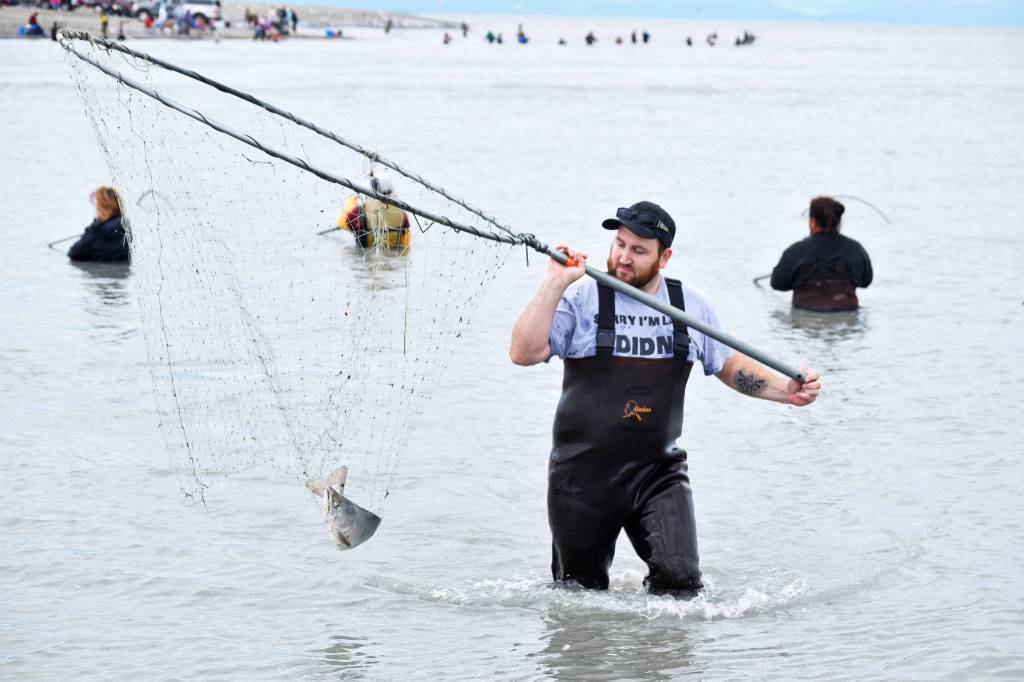 Michael Pate of Soldotna hoists a sockeye salmon out of the Kasilof River on Tuesday, July 31, 2018 in Kasilof, Alaska. (Photo by Elizabeth Earl/Peninsula Clarion)