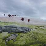 Homeward bound participants and snow algae make their presence known on Portal Point. (Photo provided by Sue Mauger)