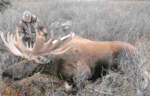 In this 2012 photo, Bob Condon of Soldotna examines the moose he shot in the Arctic. (Photo courtesy Bob Condon)