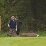 Caribou make their way past Gordon Griffin, Kirk Hyman and Mike Kebschull Sunday in the Kenai Open at the Kenai Golf Course. (Photo by Joey Klecka/Peninsula Clarion)