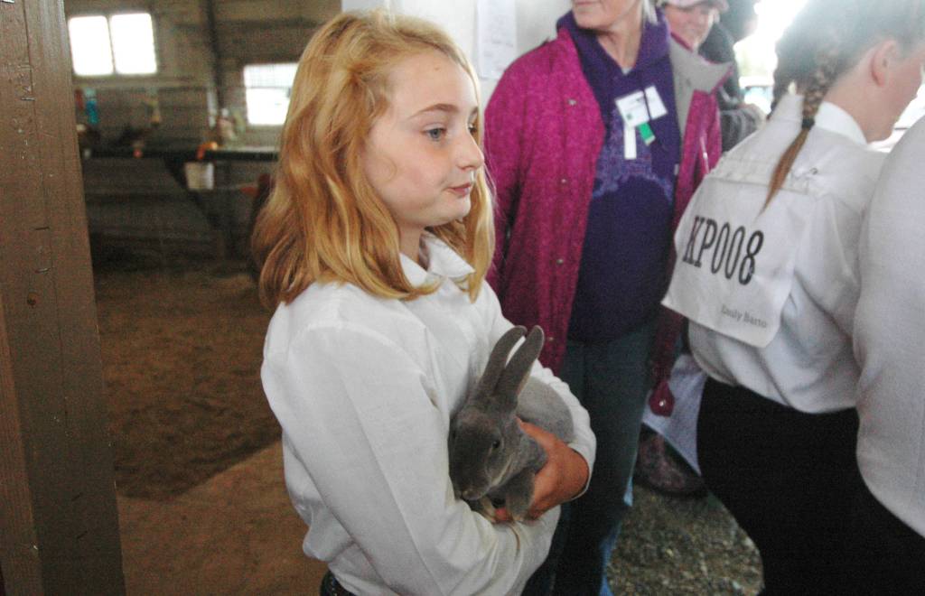 Nikiski 4-H club member Evelyn Reichert carries a rabbit out to the auction Kenai Peninsula Fair on Aug. 18, 2018 in Ninilchik, Alaska. (Photo by Elizabeth Earl/Peninsula Clarion)