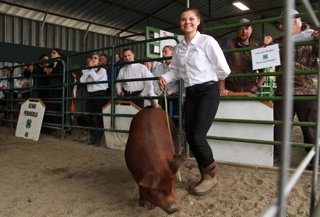 4-H member Tawnisha Freeman exhibits her 300 pound pig during a livestock auction at the Kenai Peninsula Fair on Saturday, August 18, 2018 in Ninilchik, Alaska. (Photo courtesy Ben Boettger)