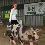 4-H member Bailey Epperheimer exhibits her 226 pound pig during a livestock auction at the Kenai Peninsula Fair on Saturday, August 18, 2018 in Ninilchik, Alaska. (Photo courtesy Ben Boettger)