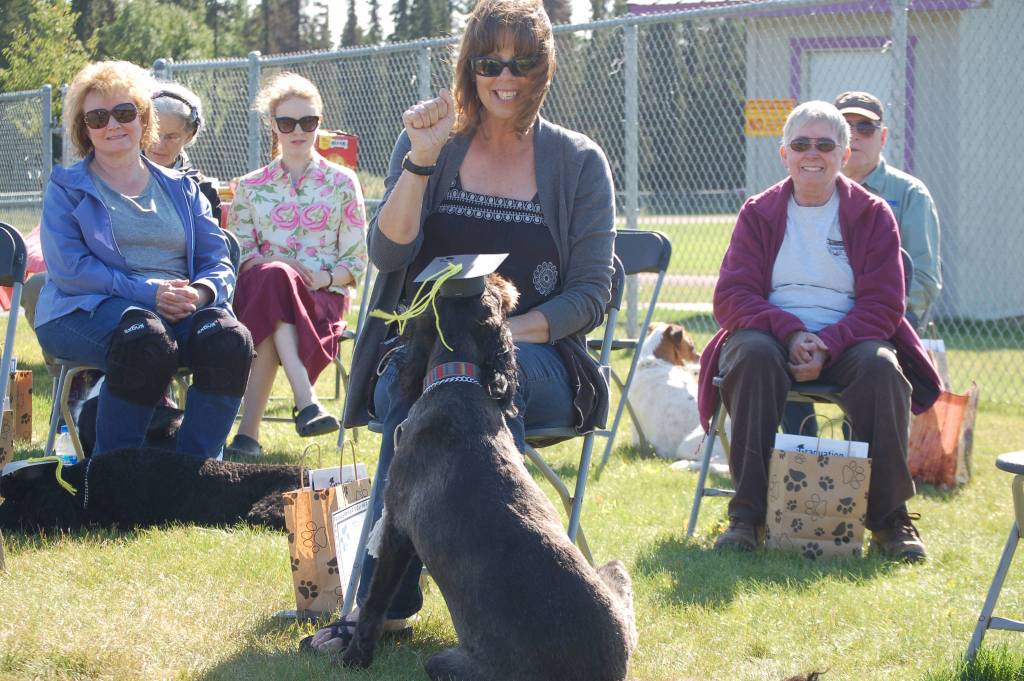 A student in the Scotch Pines Dog Training class receives his graduation cap on Wednesday, Aug. 22, 2018, at Skyview Middle School in Soldotna, Alaska. (Photo by Erin Thompson/Peninsula Clarion)