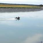 A boat motors downstream on the Kenai River near Cunningham Park on Wednesday, Aug. 29, 2018 in Kenai, Alaska. (Photo by Elizabeth Earl/Peninsula Clarion)