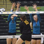 Friday state 3A volleyball: Nikiski advances to state title game