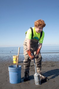 In this May 18, 2014 file photo Ted Nichols, 12, of Chugiak, goes digging for clams at the Whiskey Gulch beach access in Anchor Point, Alaska. Alaska's Board of Fisheries took up several proposed regulatory changes to Cook Inlet razor clam fisheries.