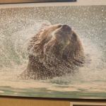 Traveling wildlife Exhibit celebrates Alaska's wilderness at KVCC.