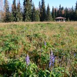 Possible Lawton Acres sale brings up old arguments