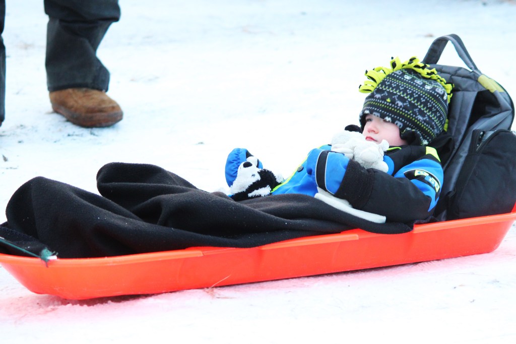 Maximus Cudd, a 3-year-old from Soldotna, rides in a sled to take a look at teams of dogs just before the start of this year's Tustumena 200 Sled Dog Race on Saturday, Jan. 28, 2017 in Kasilof, Alaska. A sizeable crowd turned out Saturday to watch 23 teams take off for Homer in the 200-mile race. (Megan Pacer/Peninsula Clarion)