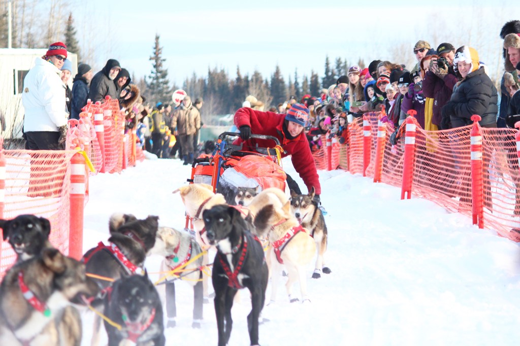Musher Kristin Bacon rights her sled after it tipped over onto its side at the start of the Tustumena 200 Sled Dog Race on Saturday, Jan. 28, 2017 in Kasilof, Alaska. Running with Bacon's team is Crosby, one of the dogs hit and injured in the 2016 Iditarod when a man aimed his snowmachine at two teams on the trail while driving drunk. (Megan Pacer/Peninsula Clarion)