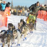 Musher Wade Marrs reached out for a high five from a spectator as he and his team take off from the starting line of the Tustumena 200 Sled Dog Race on Saturday, Jan. 28, 2017 in Kasilof, Alaska. Marrs and 22 other teams will travel through the Caribou Hills down to Homer and back in the 200-mile race. (Megan Pacer/Peninsula Clarion)