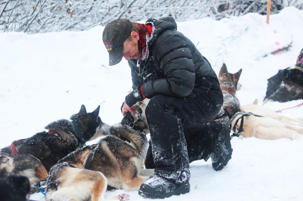 Dave Turner nears the finish line of the Tustumena 200 Sled Dog Race with his team Sunday, Jan. 29, 2017 in Kasilof, Alaska. Turner, who moved to Fairbanks from the Lower 48 in the summer of 2016 and was a newcomer to the race, finished third in 26 hours and 48 minutes. (Megan Pacer/Peninsula Clarion)