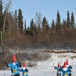 From left to right, Amanda Taylor, Kate Harris, Jane Adkins, Madison McDonald and Dana McDonald ski as yard gnomes in the Ski For Women Sunday at Tsalteshi Trails. (Photo by Jeff Helminiak/Peninsula Clarion)