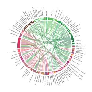 Why biodiversity matters: A food web showing 110 relationships among 98 species found on the Kenai Peninsula. Browns are fungi, reds are animals, and greens are plants. Note how humans (Homo sapiens) are part of our web.