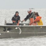 In this July 9, 2014 file photo Devin Every, Travis Every and Damien Redder pick fish from a setnet in Kenai. On Tuesday, the Board of Fisheries approved measures affecting east side set-netters. (Clarion file photo)