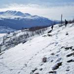 The sun shines on a snowy slope facing Skilak Lake on March 18 on the Kenai National Wildlife Refuge. (Ben Boettger/Peninsula Clarion)